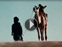 La vie nomade des Mauritaniens