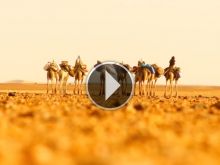 Tchad - La caravane noire
